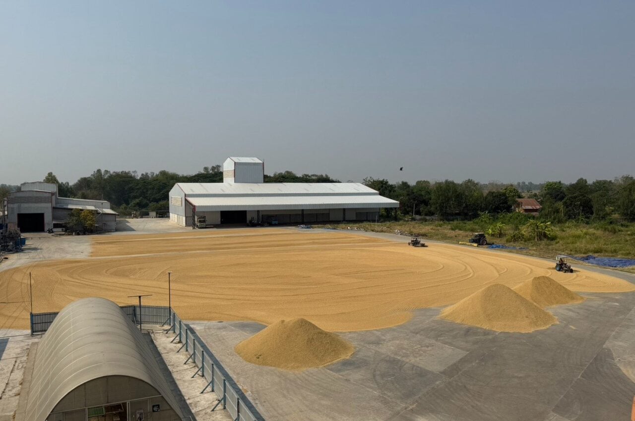 rice mill for sale in Mueang Phichit Phichit - THBP-1501