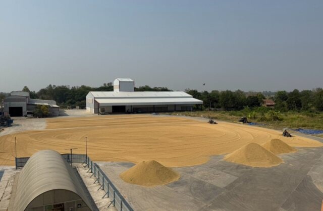 rice mill for sale in Mueang Phichit Phichit - THBP-1501