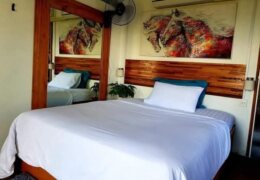 Leasehold hotel with 5 rooms in Pai Mae Hong Son - THBP-1519 photo 2